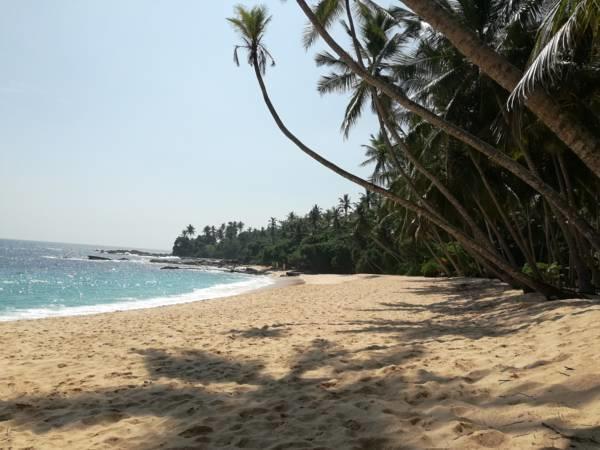 Muthu Resort & Restaurant Tangalle Exterior photo